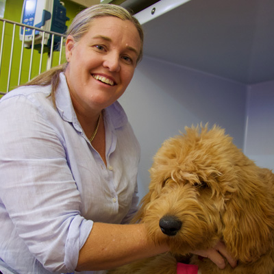 Amanda Fea - Maleny Veterinary Services