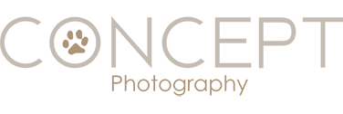 Concept Photography