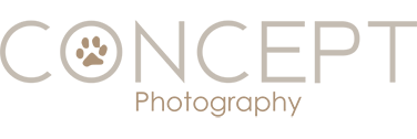 Concept Photography
