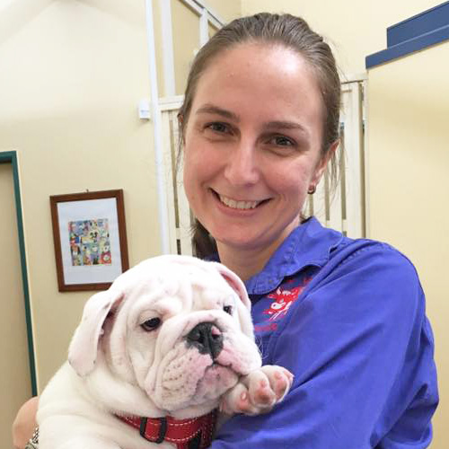 Dr Lauren McGrath - Maleny Veterinary Services