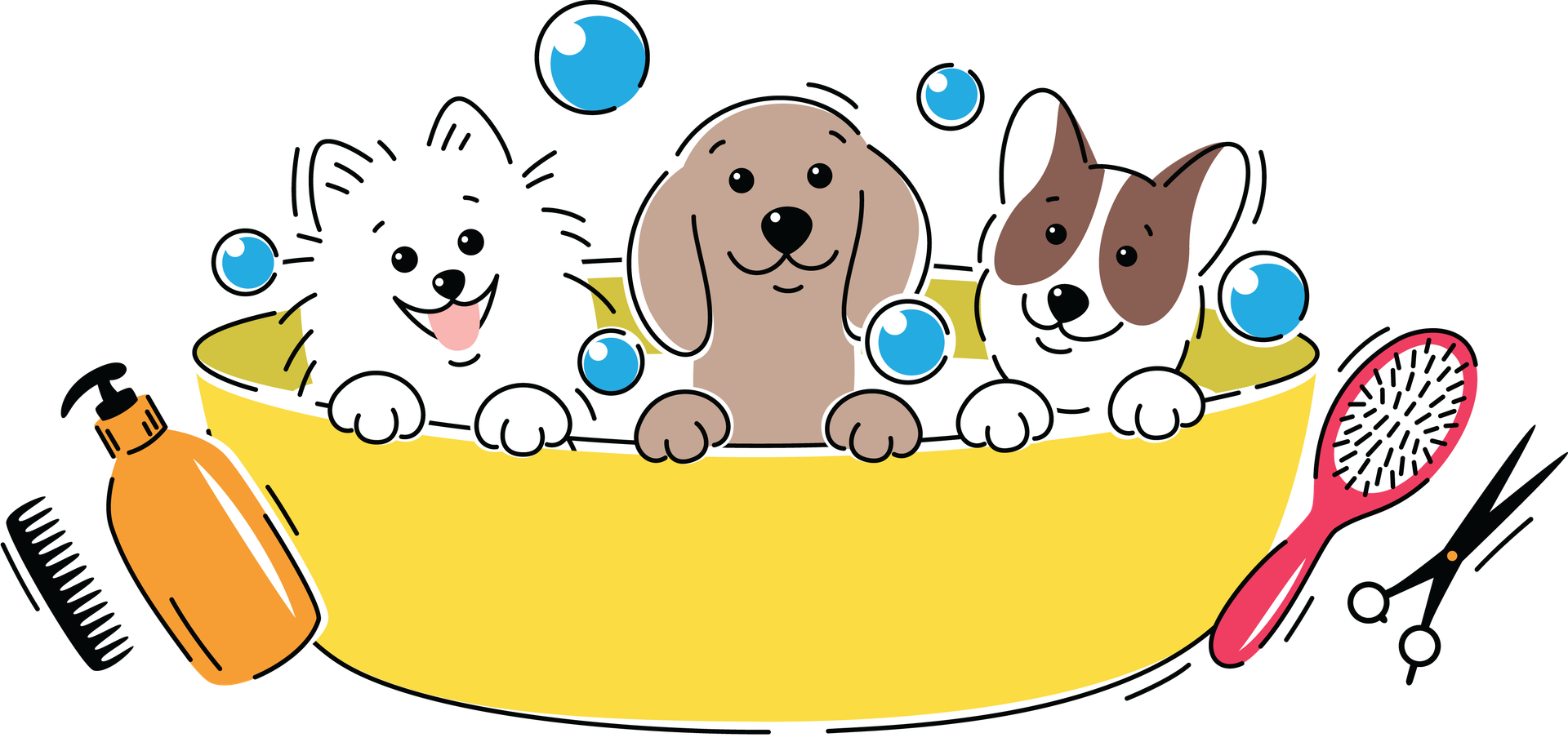 Maleny Veterinary Services - Dog Grooming