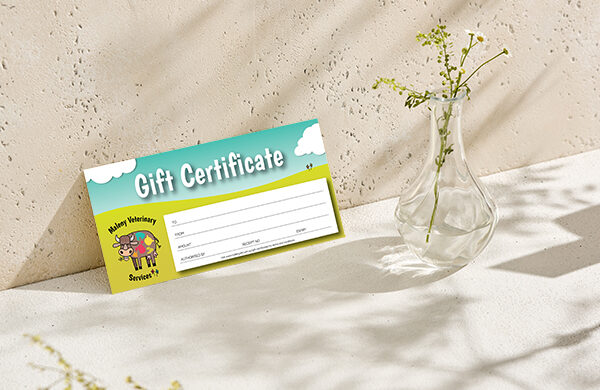 MVS Gift Certificate