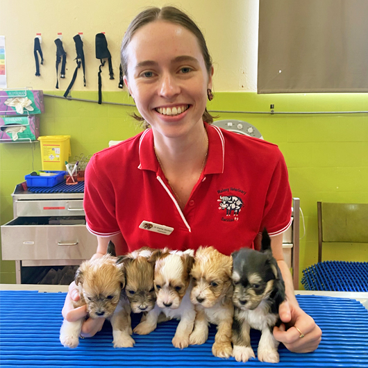 Dr Sophie Denham - Maleny Veterinary Services