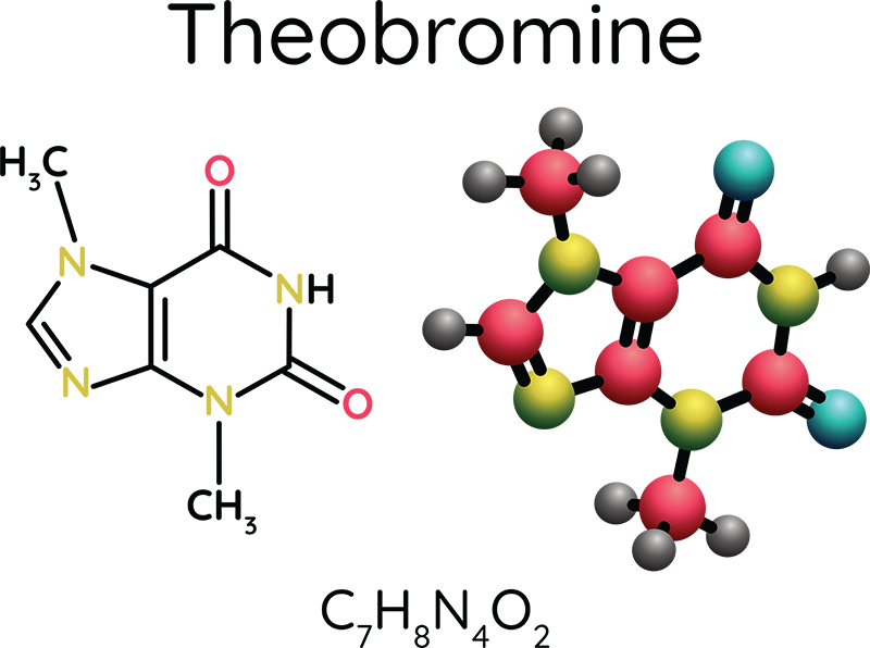 Theobromine Molecule