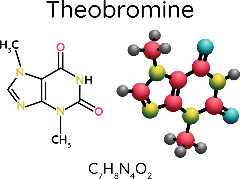 Theobromine Molecule