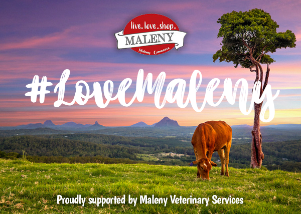 Maleny Gift Cards