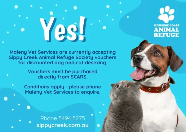 Maleny Vet Services are currently accepting Sunshine Coast Animal Refuge vouchers for discounted dog and cat desexing. (1)