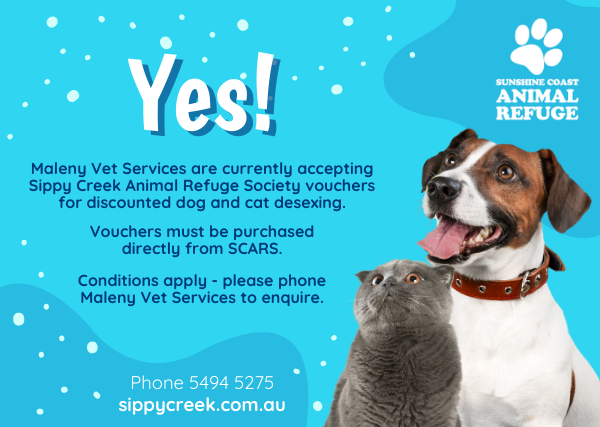Maleny Vet Services are currently accepting Sunshine Coast Animal Refuge vouchers for discounted dog and cat desexing. (1)