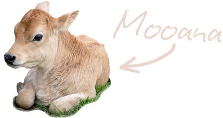 Mooana Mooana