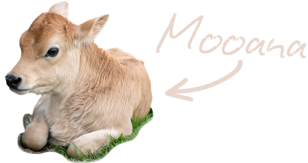 Mooana