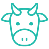 Cattle Cattle