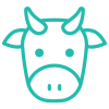 Cattle Cattle
