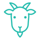 Goats and Sheep
