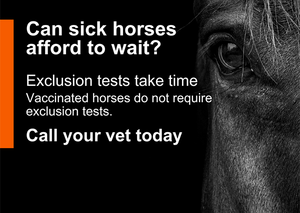 hendra-heros hendra-heros