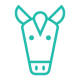 Horses and Donkeys