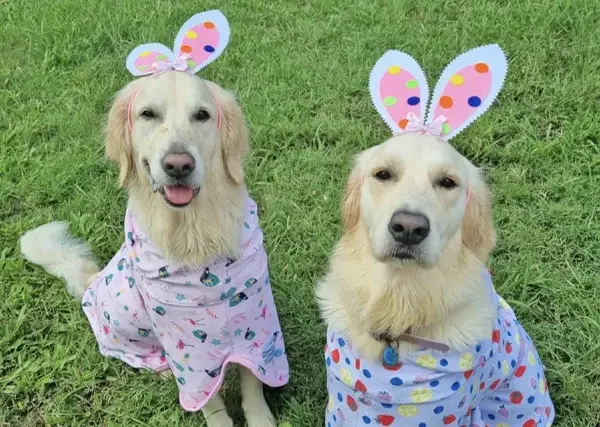 Peaches and Penny