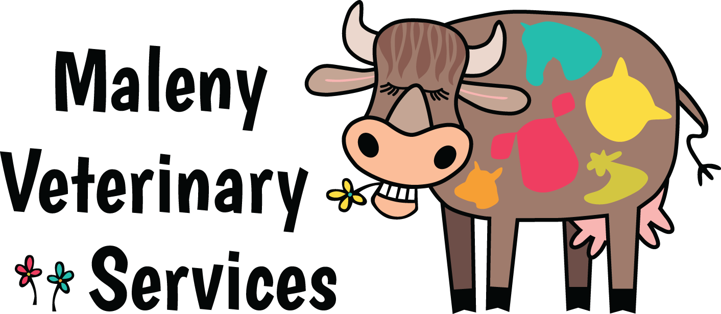 maleny-veterinary-services_logo