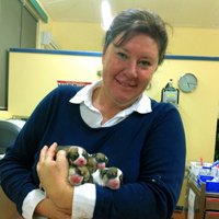 Debbie Haupt