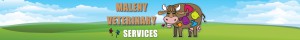 Maleny Veterinary Services