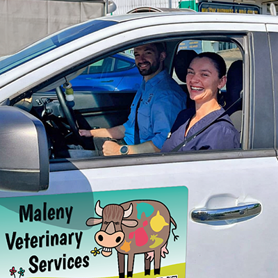 Quality veterinary care, right on your doorstep