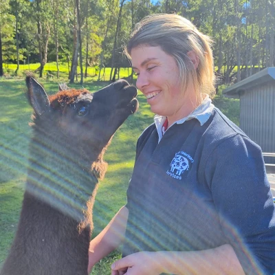 Camelid Veterinary Care