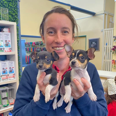 Small Animal Microchipping