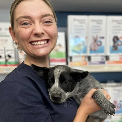 Dog and Cat Vaccinations